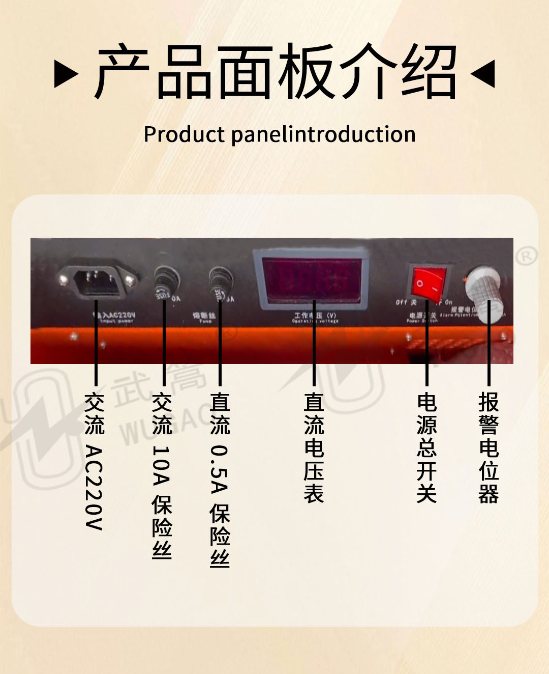 圖層 3.jpg